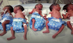 Жительница Индии вместо ожидаемого одного ребёнка родила сразу пятерых