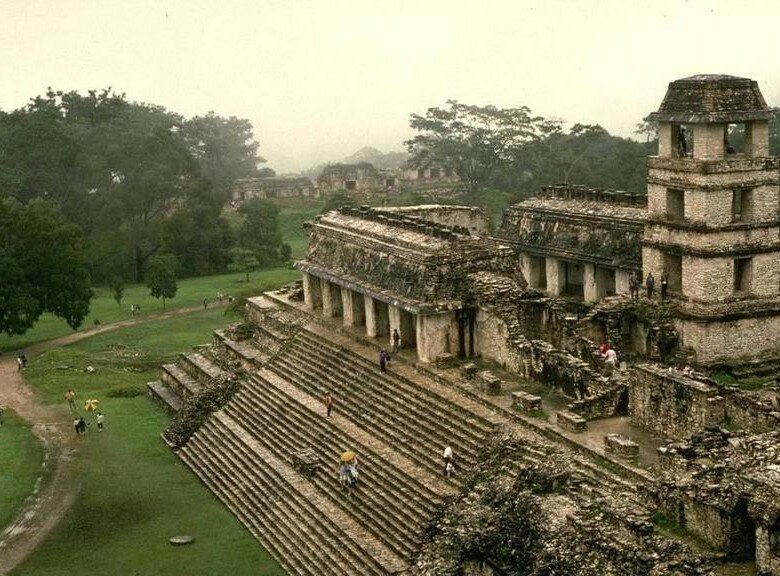 Найденный школьником затерянный город майя оказался конопляным полем