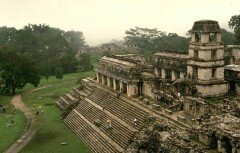 Найденный школьником «затерянный город» майя оказался конопляным полем